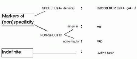 the functions of the different pronominal articles